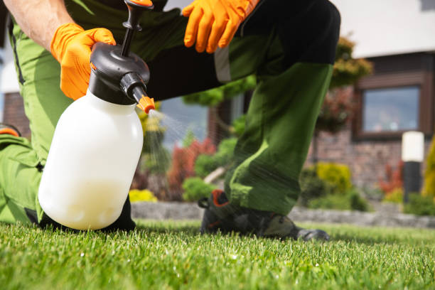 Pest Prevention Services in Prospect, KY