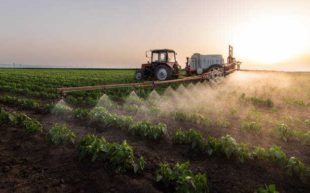 Best Pest Prevention Services  in Prospect, KY