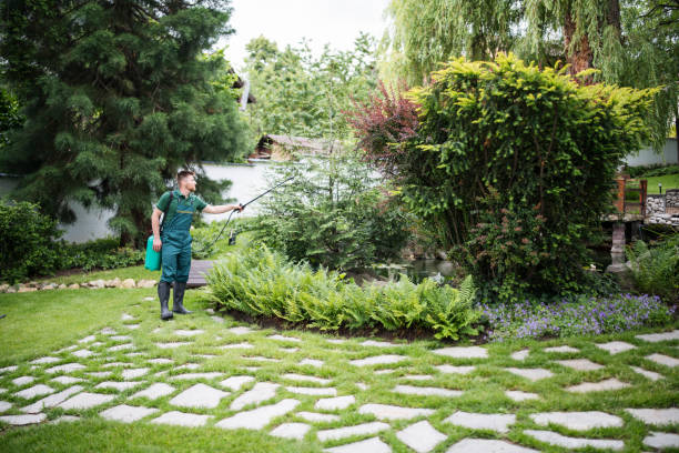 Trusted Prospect, KY Pest Control Experts