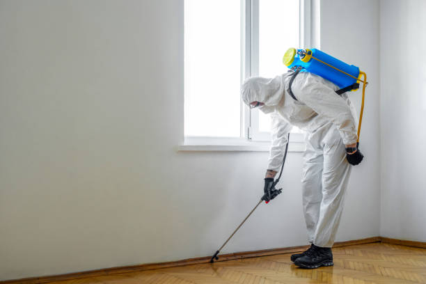 Best Flea Control Services  in Prospect, KY