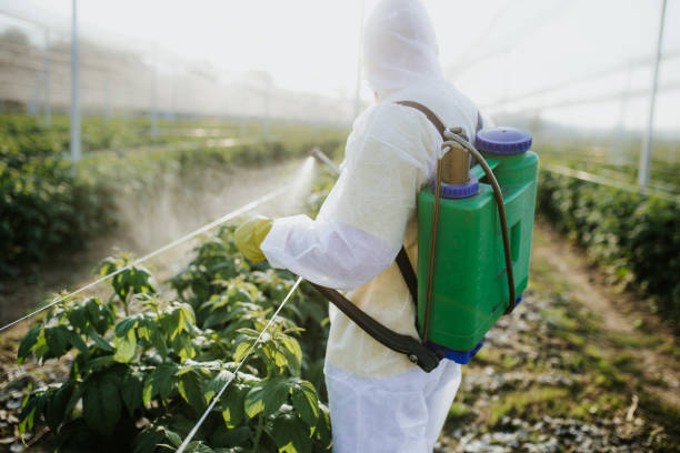 Best Pest Control for Businesses  in Prospect, KY